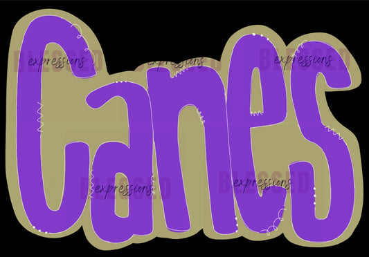 Canes Handwritten Tee