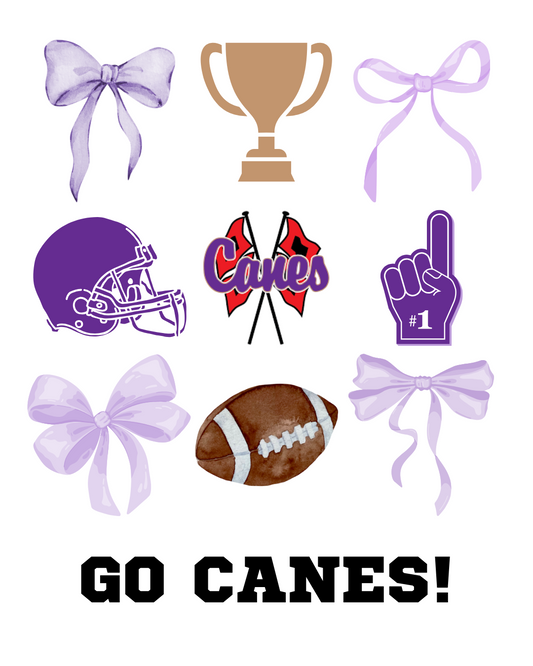 Cartersville Canes pride T-Shirt —bow and all! 💜🏈