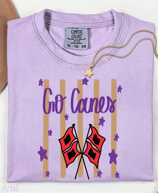 Go Canes Stars Tee